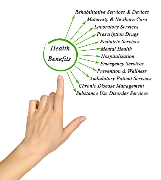 Diagram of Essential Health Benefits