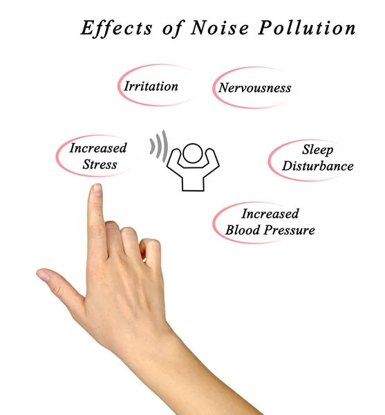 Effects of Noise Pollution