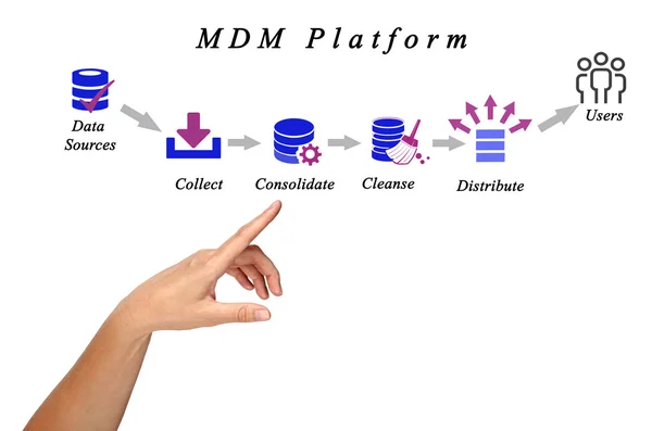 Diagram of Master Data Management