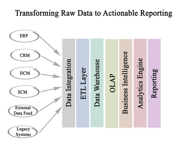 Transform Raw Data to Actionable Reporting