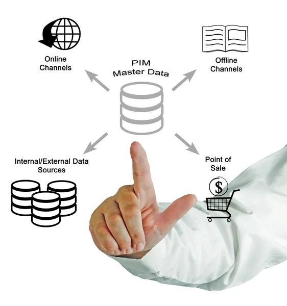 Product Information Management  Master Data