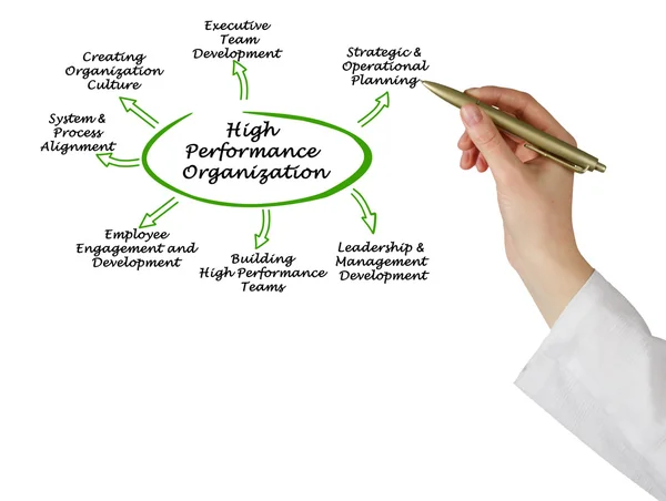 Diagram of High Performance Organization