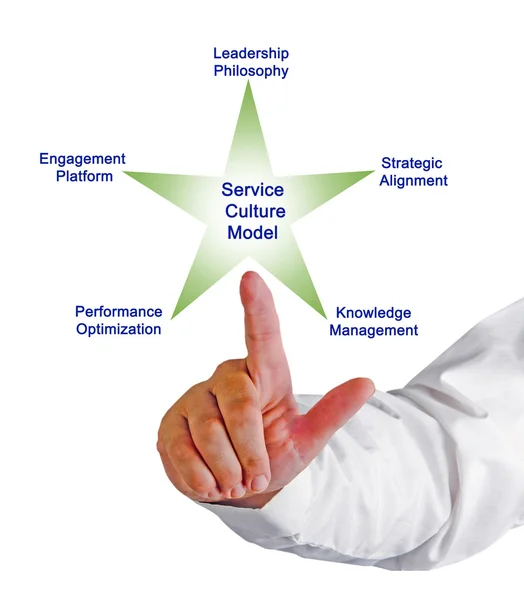 Diagram of The Service Culture Model
