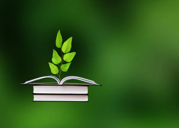 Sapling growing from book