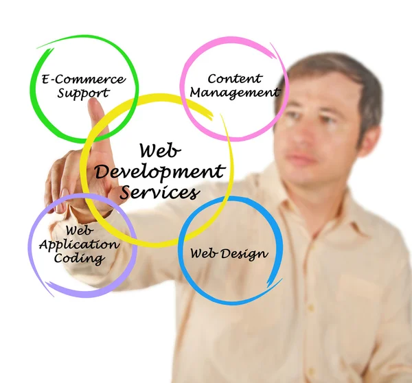 Web development service