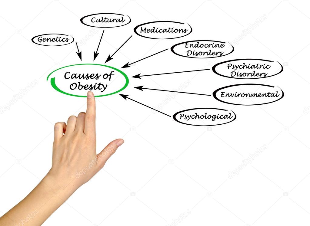 the causes of obesity What causes obesity the causes of obesity are complex and include genetic, biological, behavioral and cultural factors. the causes of obesity What causes obesity the causes of obesity are complex and include genetic, biological, behavioral and cultural factors.