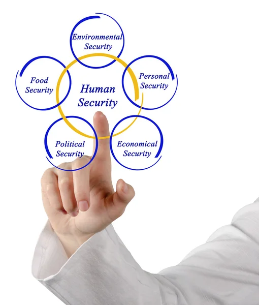 Diagram of Human Security
