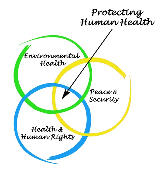 Diagram of protecting Human Health