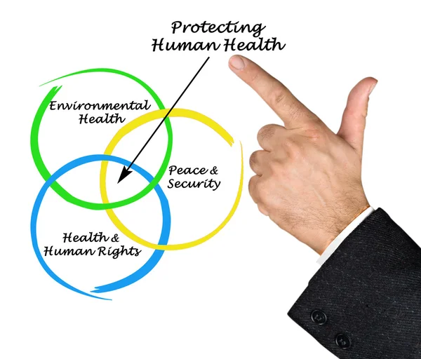 Diagram of protecting Human Health