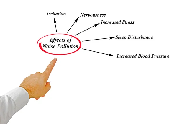 Effects of Noise Pollution