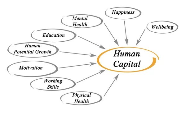 Diagram of Human Capital