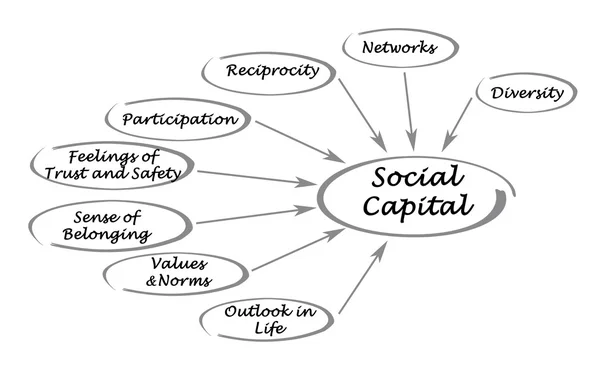 Social Capital