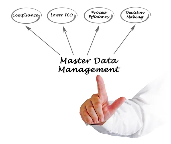 Master Data Management