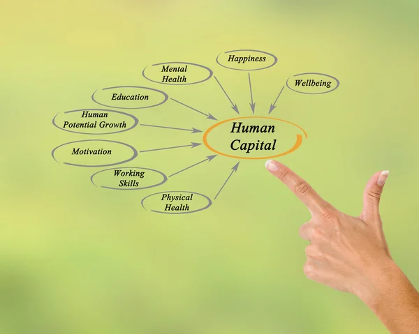Diagram of Human Capital