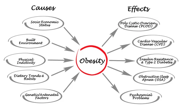 Obesity: causes and effects