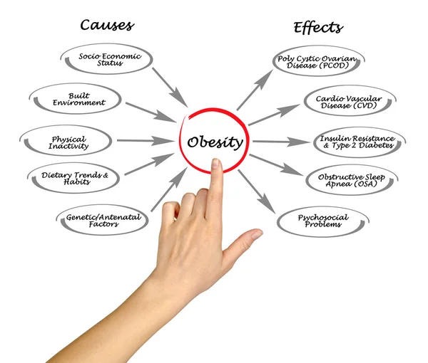 Obesity: causes and effects