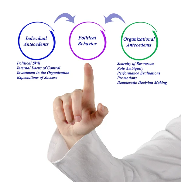 Diagram of Political Behavior