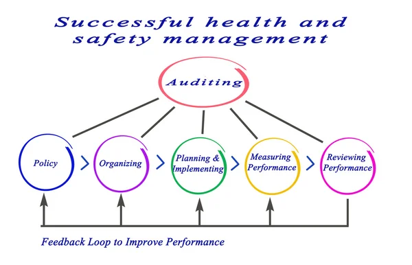 Diagram of Successful health and safety management