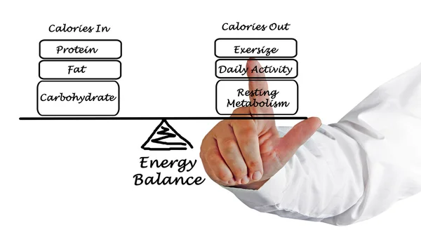 Diagram of Balance between Energy intake and Energy expenditure