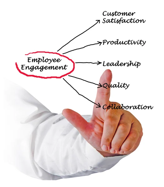 A diagram of Employee Engagement