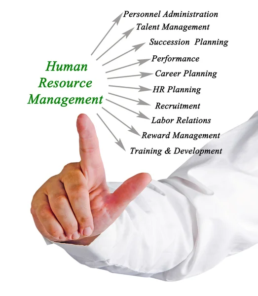 Diagram of Human Resource Management