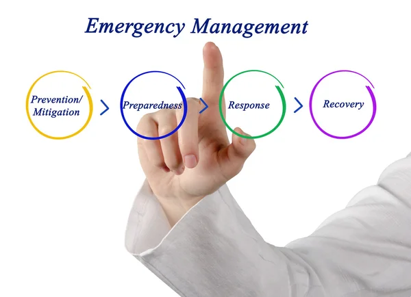 Diagram of Emergency Management Cycle