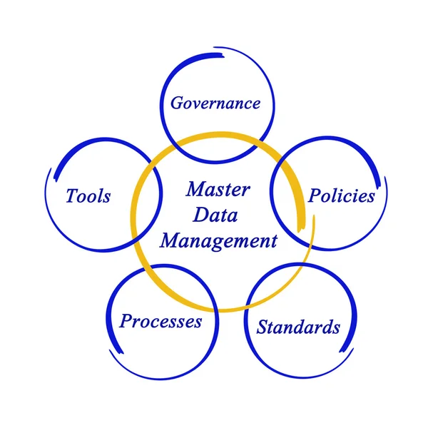Diagram of  Master Data Management