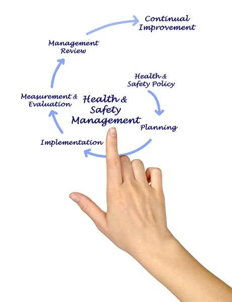 Diagram of  Health & Safety Management