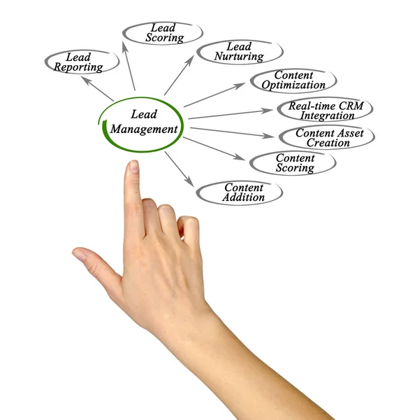 Diagram of Lead Management