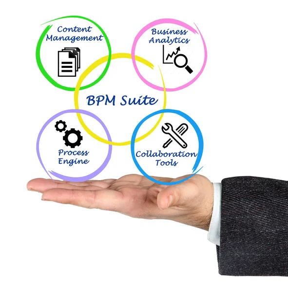 Diagram of Business Process Management Suite