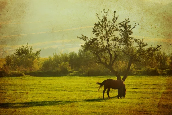 Abstract retro landscape wth horse