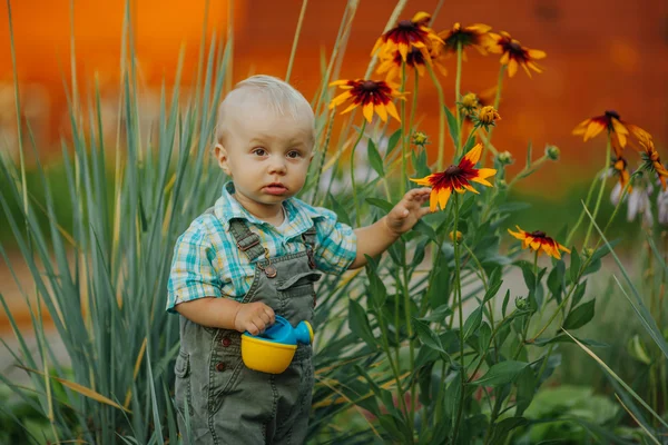 Little boy check the quality of flowers