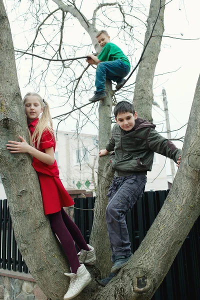 Children climb on tree