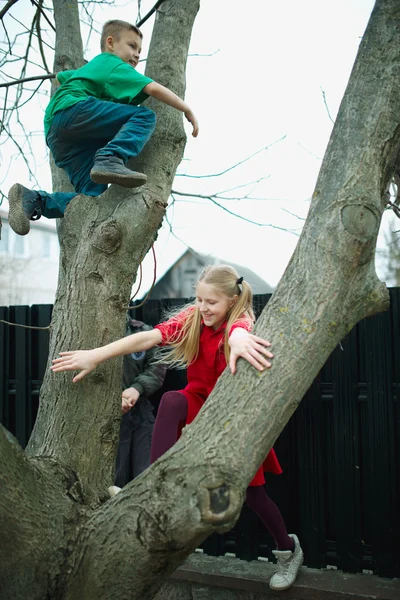 Children climb on tree