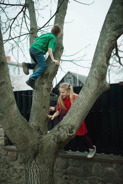 Children climb on tree