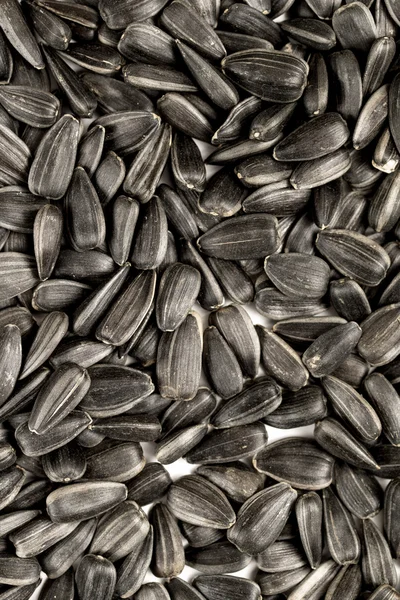 Black sunflower seeds closeup