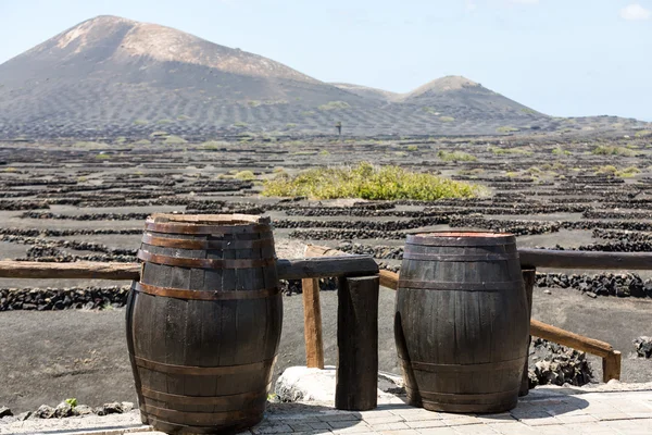 Wine barrels on background vines and mountains , Lanzarote; Canary islands.