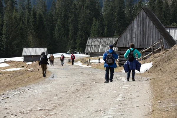 Tourists walking on hiking path in Chocholowska valley in spring season, Tatra Mountains, Poland