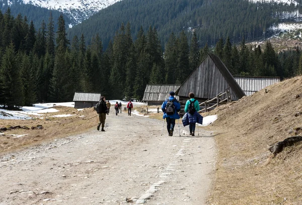 Tourists walking on hiking path in Chocholowska valley in spring season, Tatra Mountains, Poland