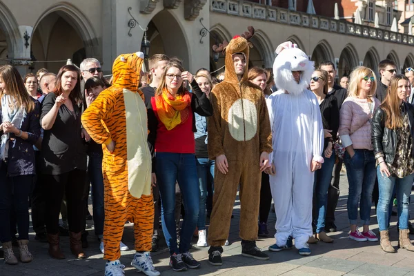 International Flashmob Day of Rueda de Casino, 57 countries, 160 cities. Several hundred persons dance Hispanic rhythms on the Main Square in Cracow. Poland