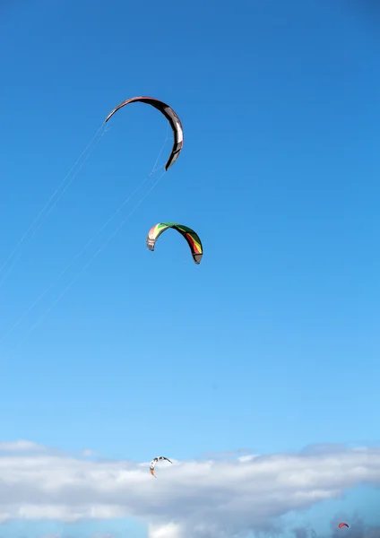 Kite surfers in the beaches of Fuerteventura, Spain
