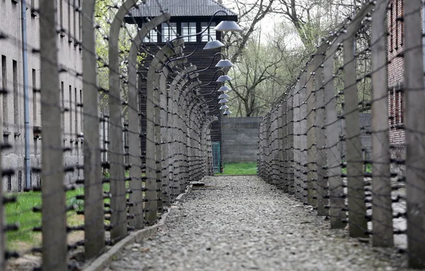 Electric fence in former Nazi concentration camp Auschwitz I, Poland