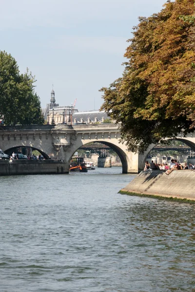 A Pont Neuf and Cite Island in Paris, France
