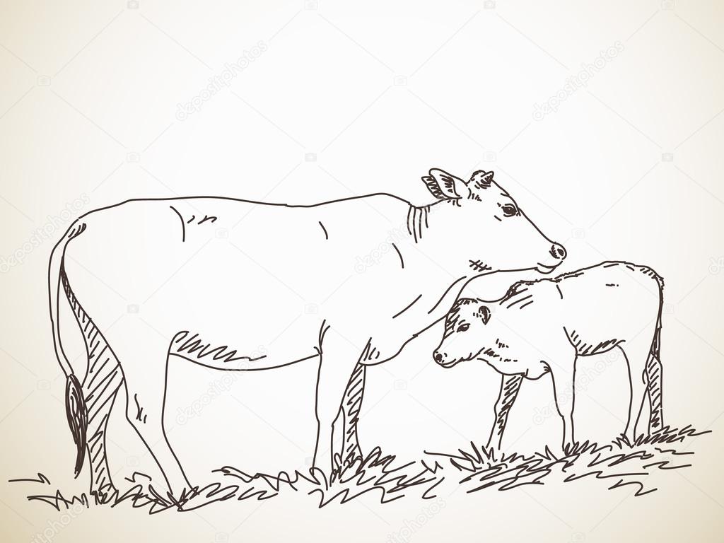 Hand von Kuh und Kalb — Stockvektor