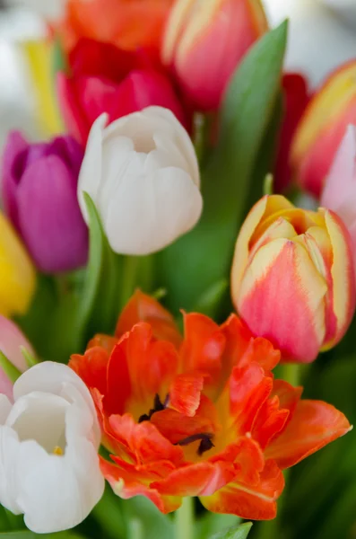 Easter Tulip Bouquet