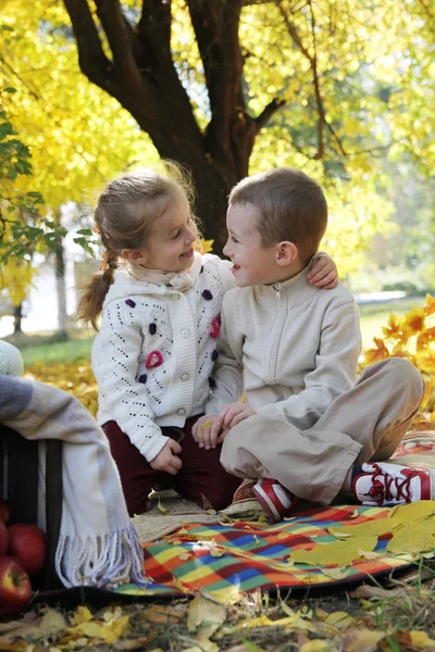 Sister and brother talking friendly under autumn tree