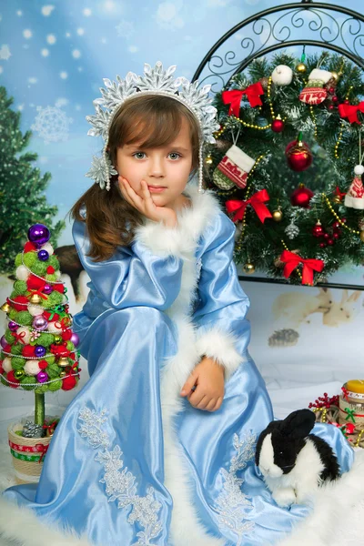 Cute little girl in a blue dress and a crown with a black and wh