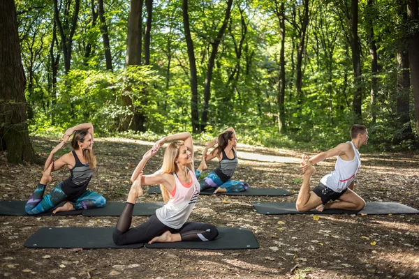 Fitness group practice anti-stress stretching in harmony of nature