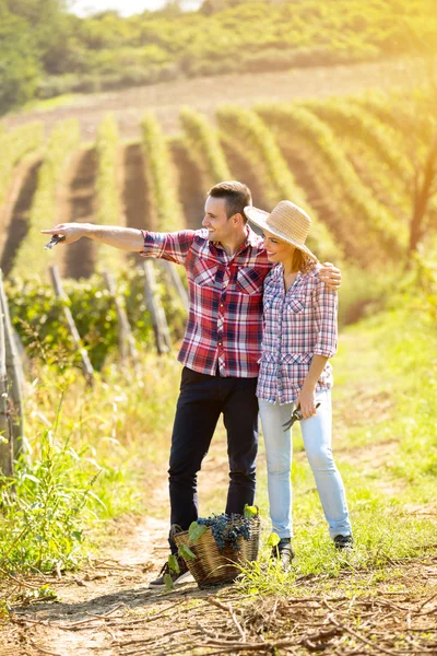 Couple farmer watches own vineyard
