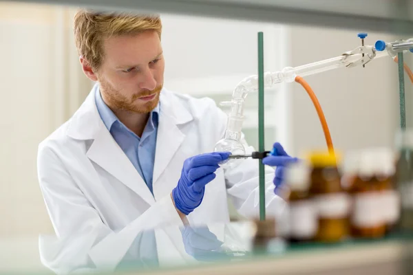 Laboratory assistant prepare instrument for experiment